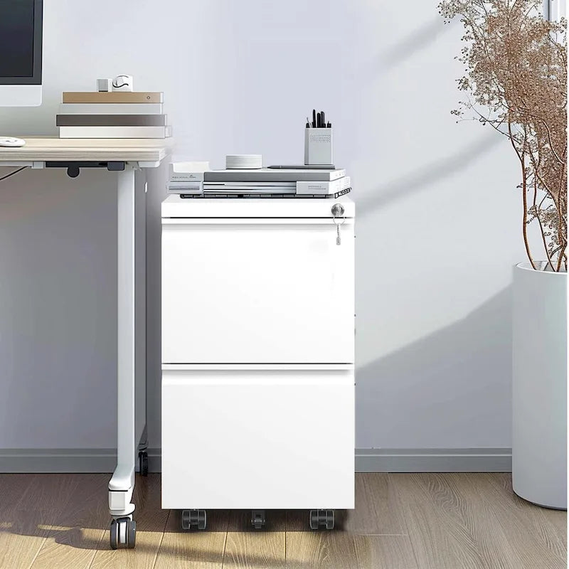2-Drawer Rolling Metal File Cabinet with Lock for Legal, Letter and A4 Size Files, Fully Assembled